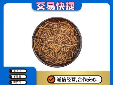 襄樊高价回收散虫草